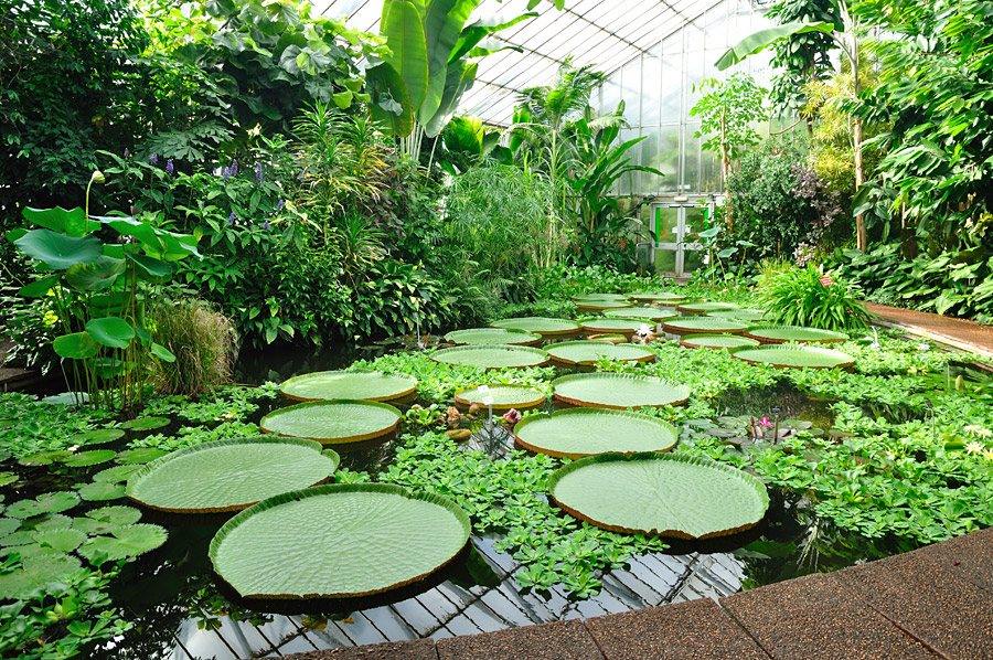 real-jardin-botanico